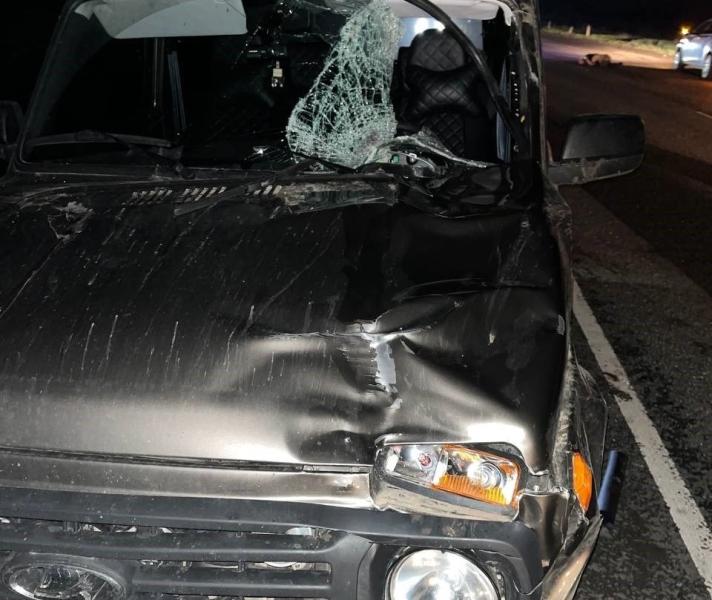 В Самарской области на трассе под колесами "Нивы" погиб 53-летний пешеход 