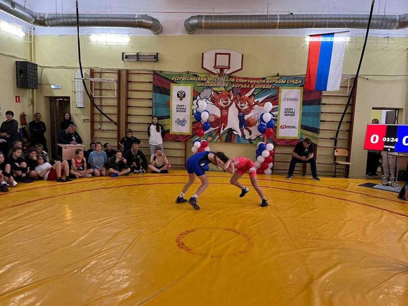 В Тольятти прошел региональный этап Всероссийского фестиваля борьбы