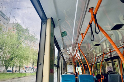 В Самаре из-за упавшего дерева встали троллейбусы