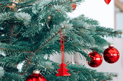 В Камышле в благоустроенном по нацпроекту сквере состоятся районные новогодние гуляния 