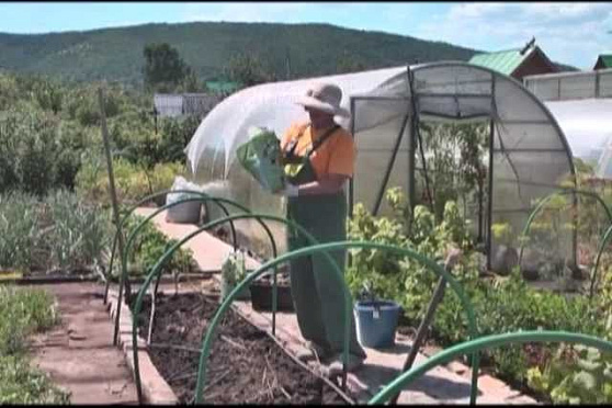 Дачные советы 25.07.2013 