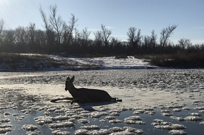 Название статьи
