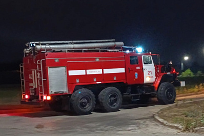 В Самарской области в пожаре погибли домашние животные