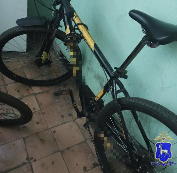 В Тольятти по фотографии нашли украденный велосипед