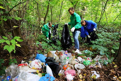 Тольяттинцев приглашают навести порядок на лесном берегу Жигулевского моря