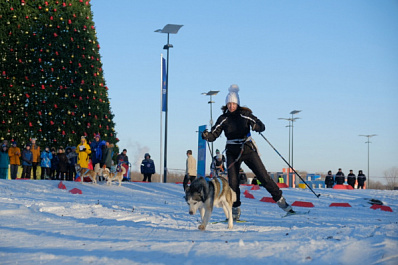 В "Самарской Олимпийской Деревне" прошел забег на собачьих упряжках