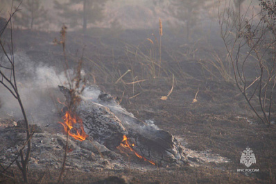 В Самарской области за сутки дважды горела сухая трава