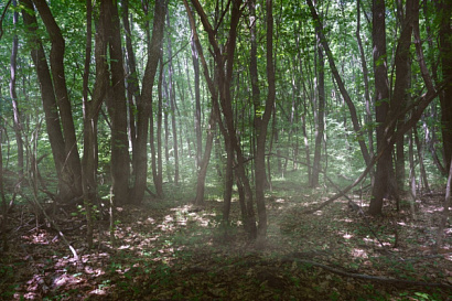 Название статьи