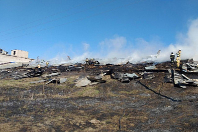 В Самарской области 34 человека тушили крупный пожар в зернохранилище