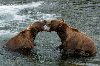 Название статьи