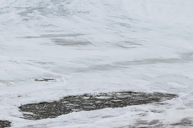 Хозяева недоглядели: собаку спасли из ледяной воды в Свердловской области