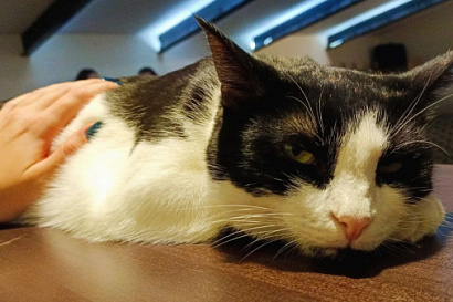 Название статьи