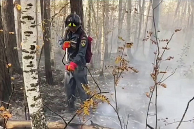 Вячеслав Федорищев поручил сформировать специальную комиссию в связи с крупным пожаром в Сызранском районе