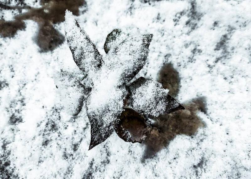 Народные приметы на 19 декабря 2025 года: что нельзя делать в этот день