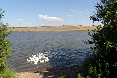 В Самарской области нашли незаконно построенную "Рублевку"