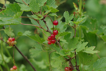 Название статьи