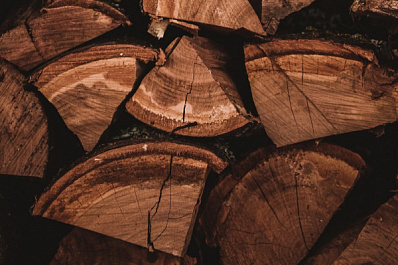 Самарцам помогли освободить двор от упавших деревьев при содействии системы "Инцидент Менеджмент"