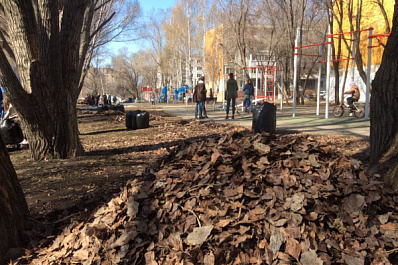 Общегородской субботник прошел в Самаре