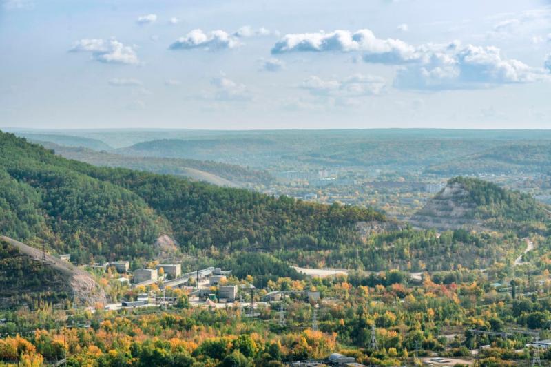 В Жигулёвске для горожан организовали арт-пикник в парке