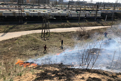 В Тольятти школьников наградят за помощь в тушении сухой травы