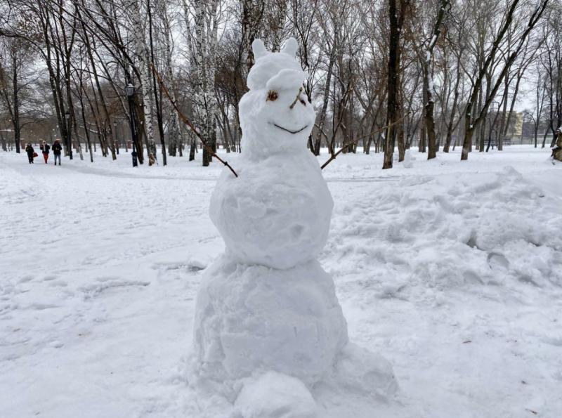 Снег и до -22 градусов: погода в Самарской области на выходные