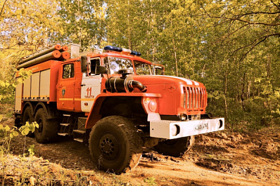 В Самарской области объявили оранжевый уровень опасности из-за риска лесных пожаров