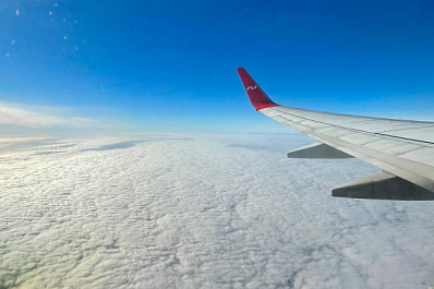 В самарском аэропорту не дали ввезти в Россию 19 опасных грузов