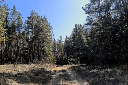 Название статьи