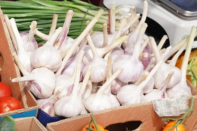 Эксперт Куликов рассказал о полезных и опасных свойствах чеснока