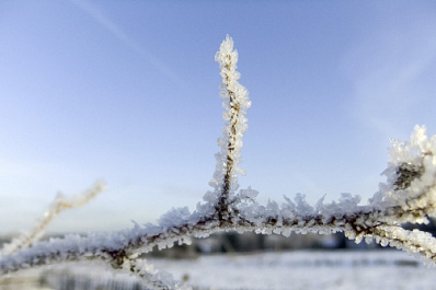 До -29 °C: в Самарскую область вернулись сильные морозы