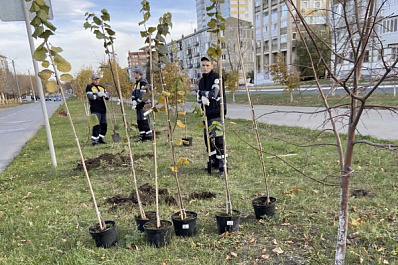 В Новокуйбышевске высадили новые деревья