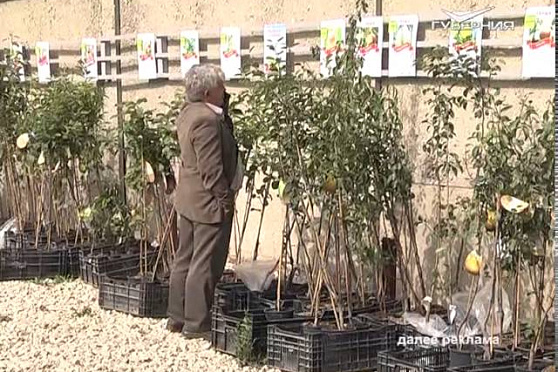 Дачные советы 27.08.2015 