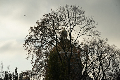 Название статьи