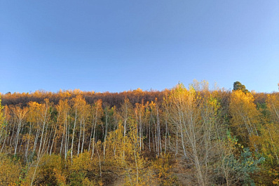 В России продолжаются поиски семьи Усольцевых с 5-летним ребенком