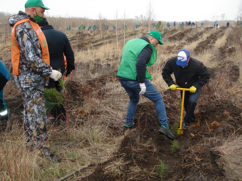В Самарской области пройдут мероприятия всероссийского проекта "Посади лес"