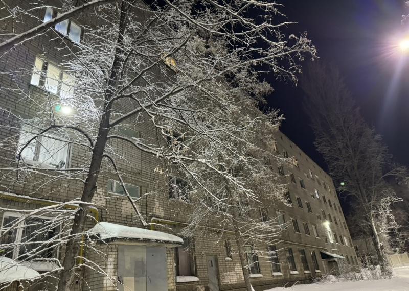 В Самарскую область 26 января вернется снегопад 