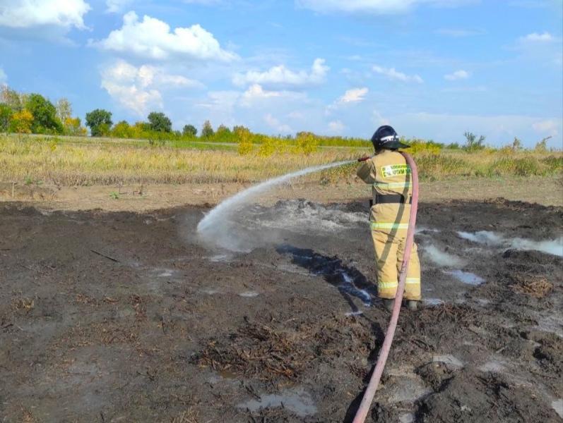 15 сентября в Борском районе произошло два природных пожара