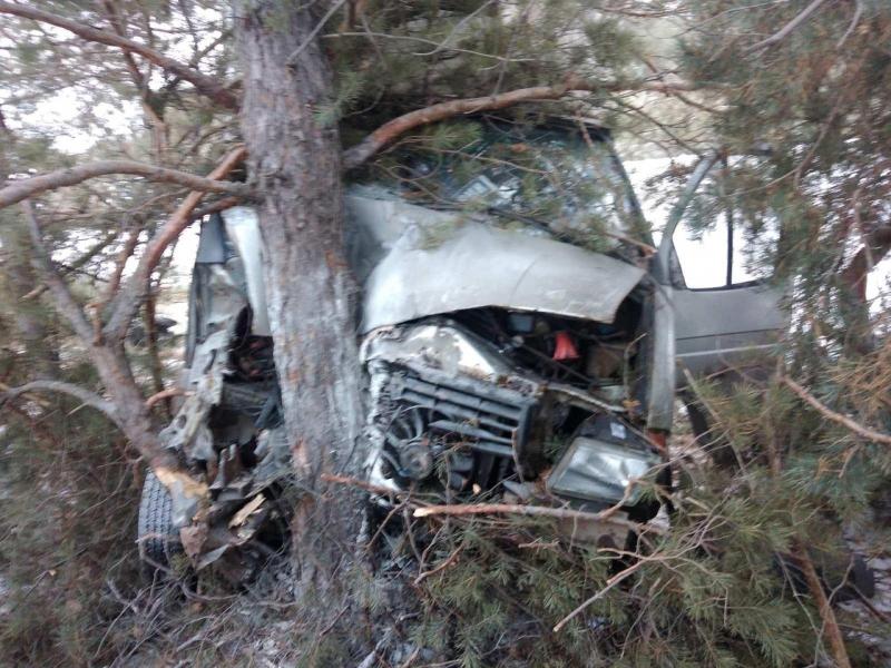 В Самарской области водитель грузовика влетел в ели