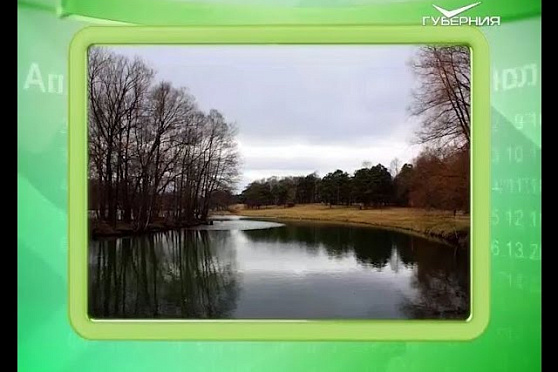 Календарь губернии 05.03.2016