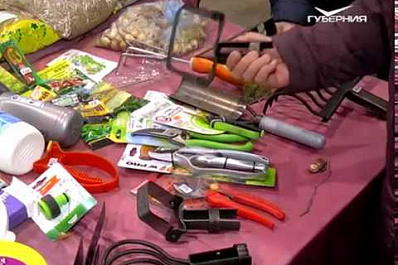 В Самаре открыла свою работу выставка Дачный сезон