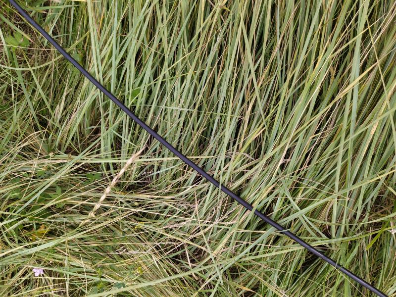 В селе Черновка Сергиевского района появится высокоскоростной интернет