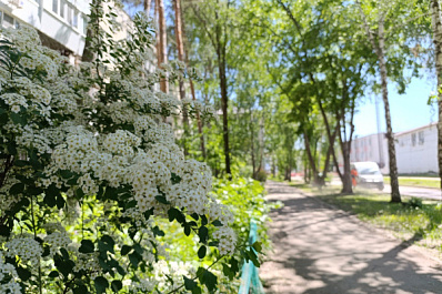 В Самаре бульвар на улице Чернореченской благоустроят к концу октября
