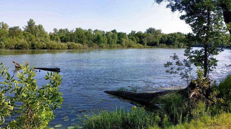 Погода на 26 июня 2025 года: народные приметы и прогноз синоптиков