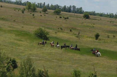 Жителям региона предлагают забраться сперва на коня, потом - на курган