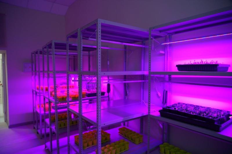 Народные приметы на 18 марта 2025 года: что нельзя делать в этот день