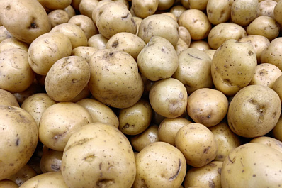 В Роспотребнадзоре рассказали, чем можно заменить картофель