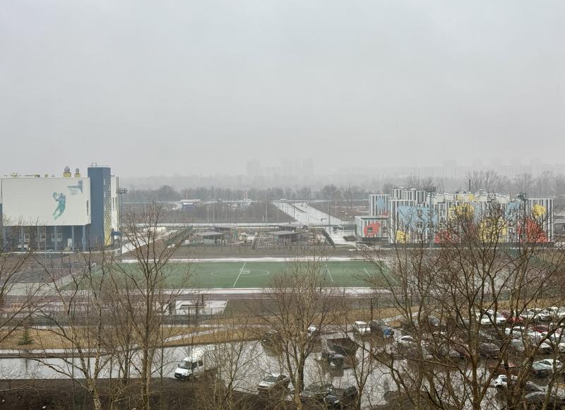 В Самарской области 17 марта ожидается дождь со снегом