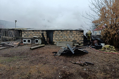 Во время пожара в частном доме села Августовка погибли домашние животные