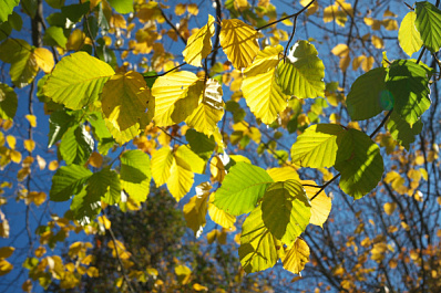 Погода на 8 сентября 2025 года: народные приметы и прогноз синоптиков 