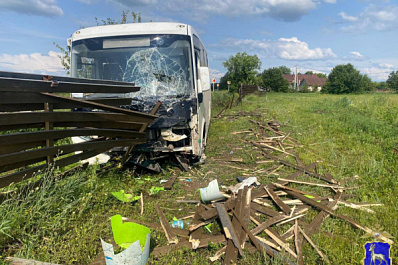 В Самарской области 18 июня автобус с пассажирами съехал в кювет из-за осы